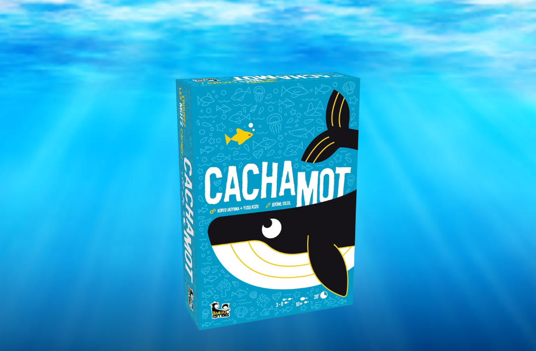 Cachamot le jeu de mot éducatif
