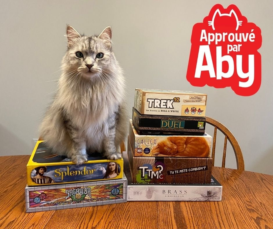 Top 10 meilleurs jeux à deux joueurs - Approuvé par Aby