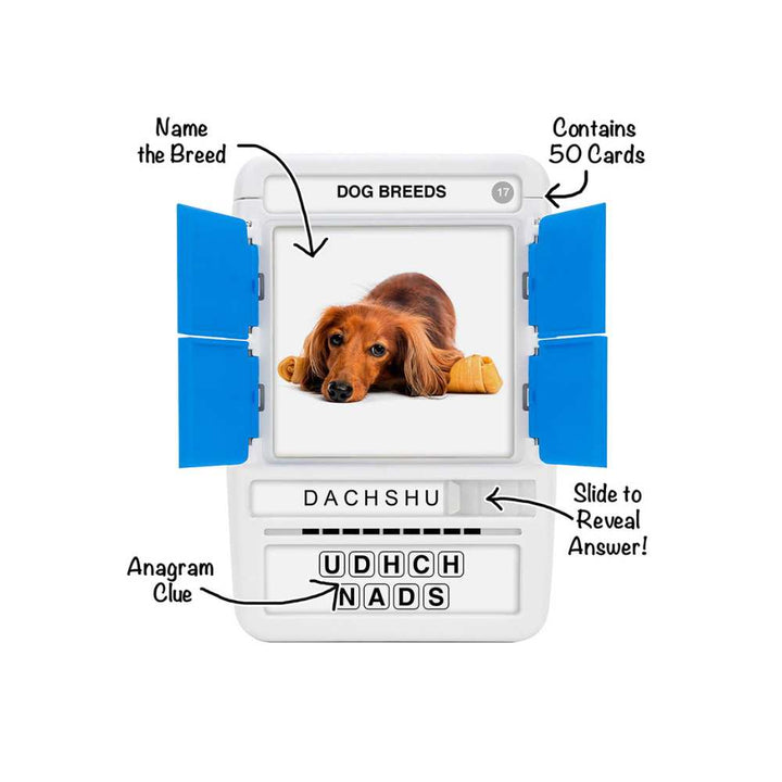 100 PICS: Dog Breeds (EN)
