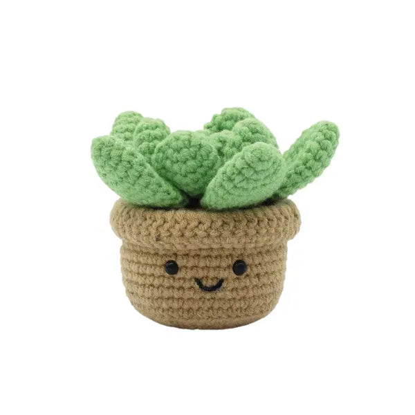 Kit DIY Crochet: Succulente (ML)