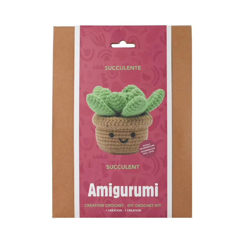 Kit DIY Crochet: Succulente (ML)