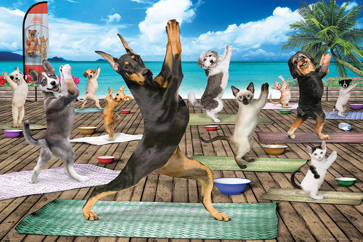 Yoga Spa (300 pcs)