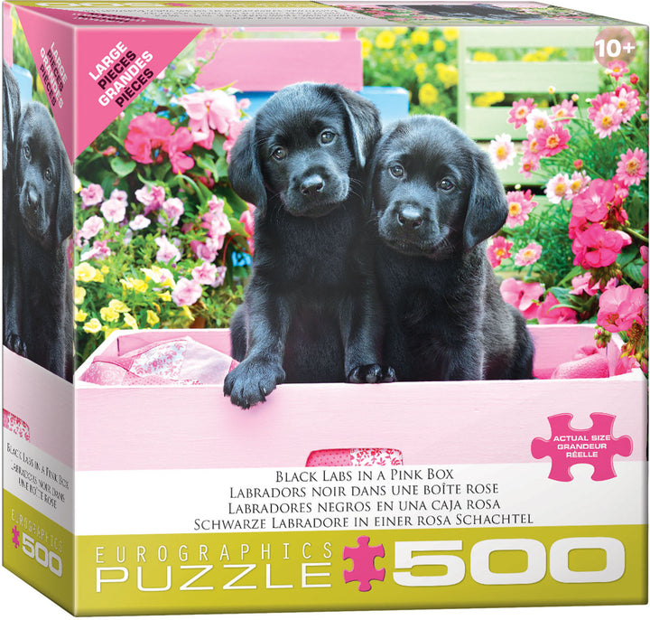 Black Labs in Pink Box (500 pcs)
