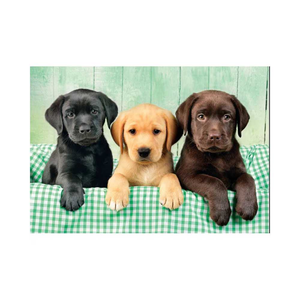 Puzzle Clementoni Trois labradors (1000 pcs) | Achat en ligne Canada