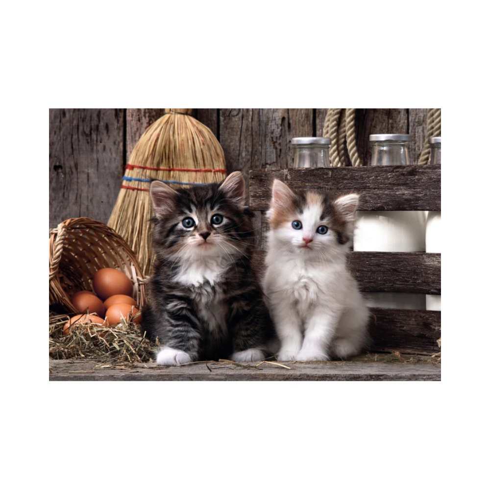 Puzzle Clementoni Mignons chatons (1000 pcs) | Achat en ligne Canada