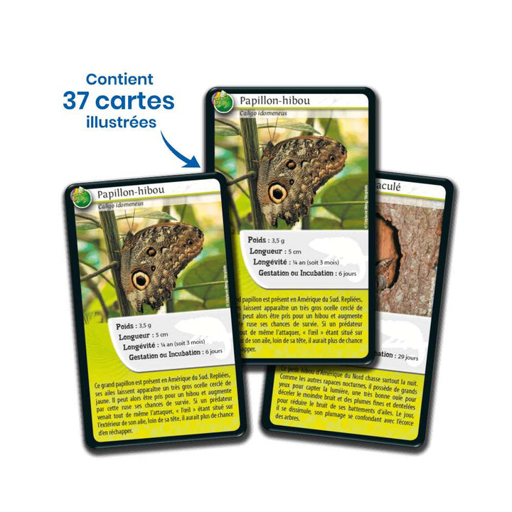 Défis Nature/Rois du camouflage, jeu de cartes éducatif-Achat en ligne