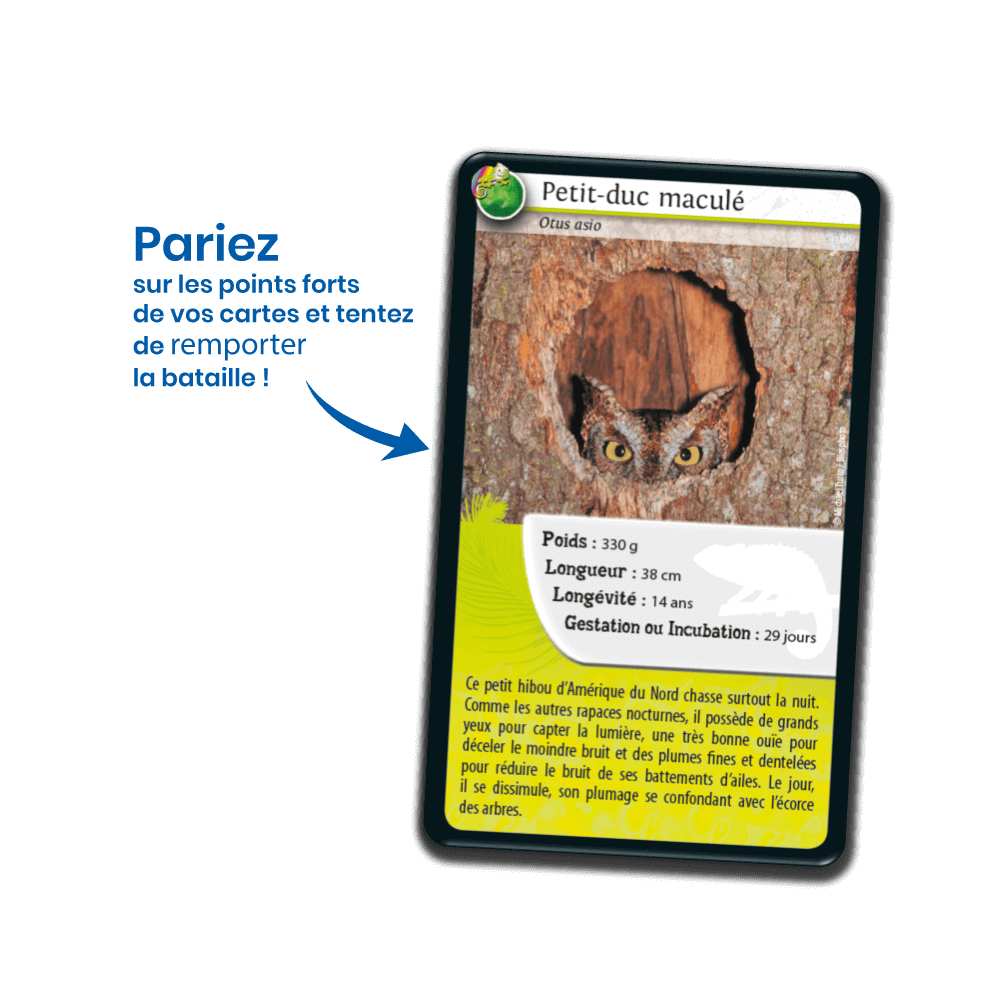 Défis Nature/Rois du camouflage, jeu de cartes éducatif-Achat en ligne