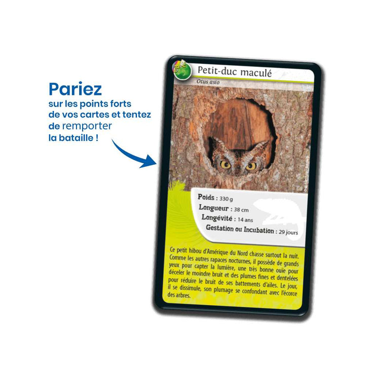 Défis Nature/Rois du camouflage, jeu de cartes éducatif-Achat en ligne