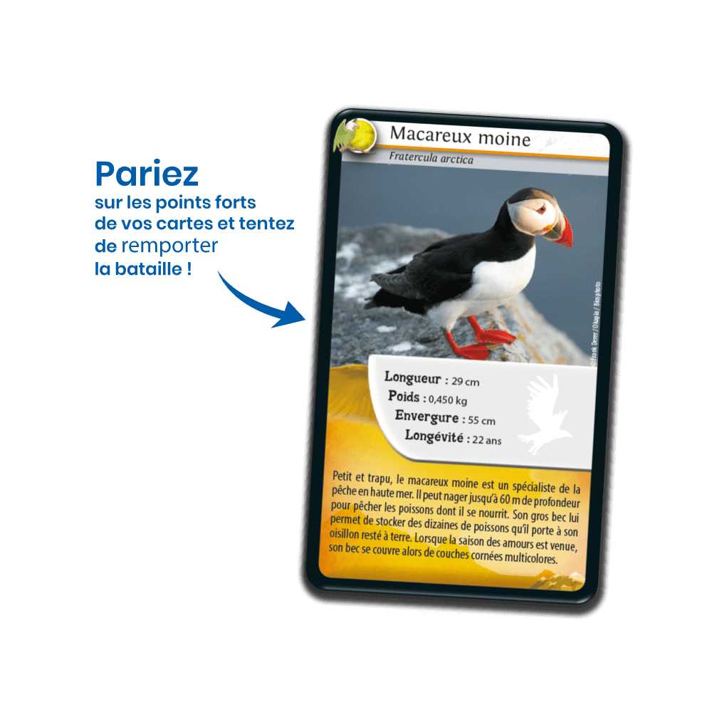 Défis Nature / Oiseaux, jeu de cartes éducatif - Achat en ligne