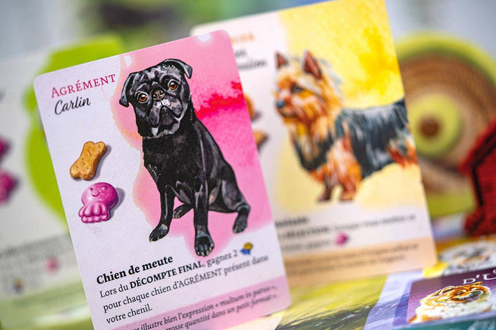 Dog Park, jeu de société stratégie - Achat en ligne à L'As des jeux
