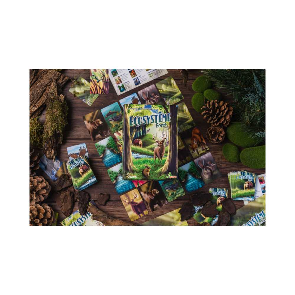 Écosystème - Forêt, jeu de société familial - Achat en ligne
