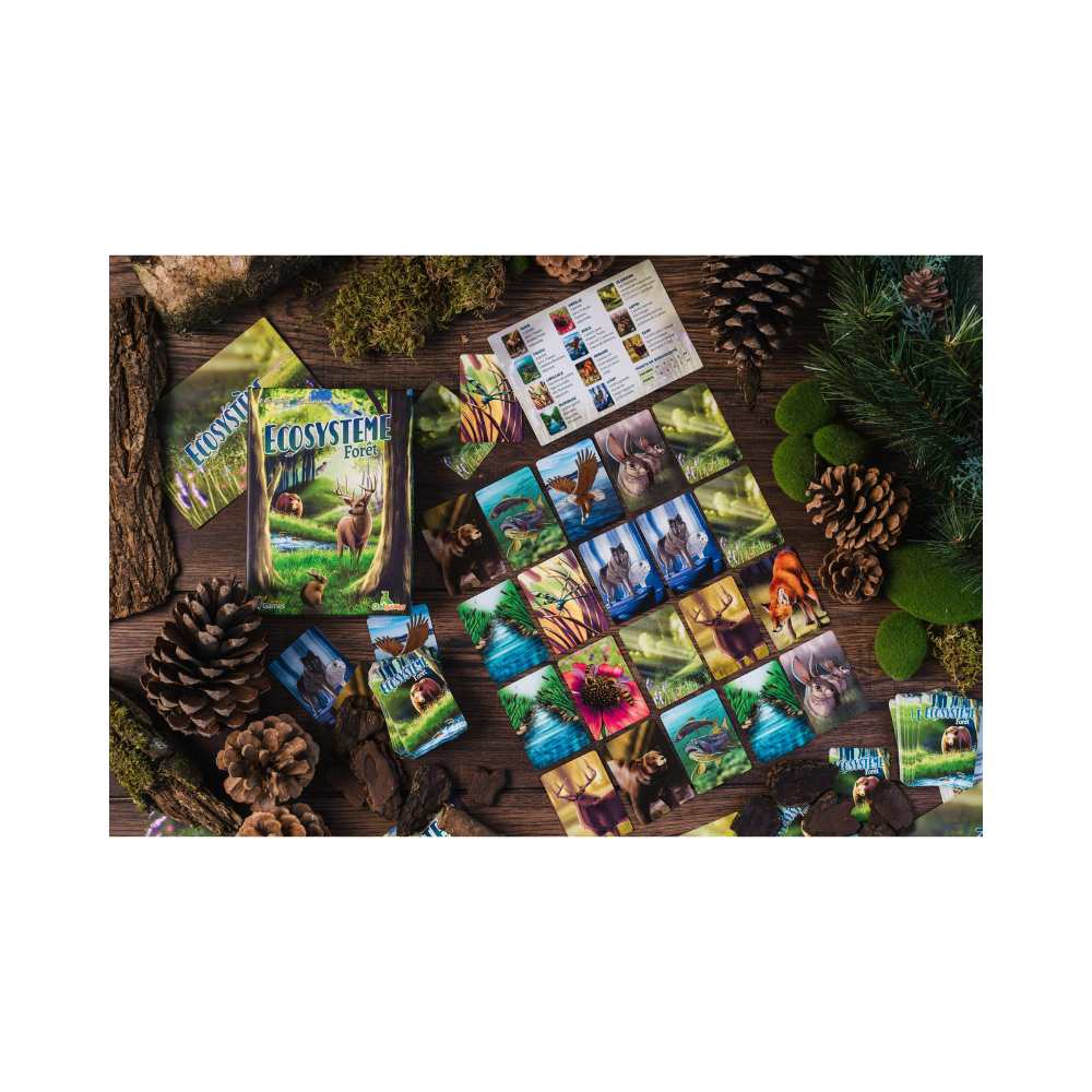 Écosystème - Forêt, jeu de société familial - Achat en ligne