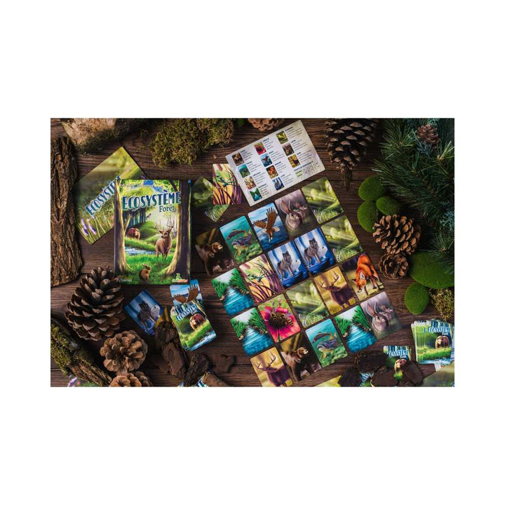 Écosystème - Forêt, jeu de société familial - Achat en ligne