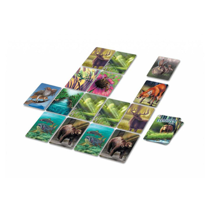 Écosystème - Forêt, jeu de société familial - Achat en ligne