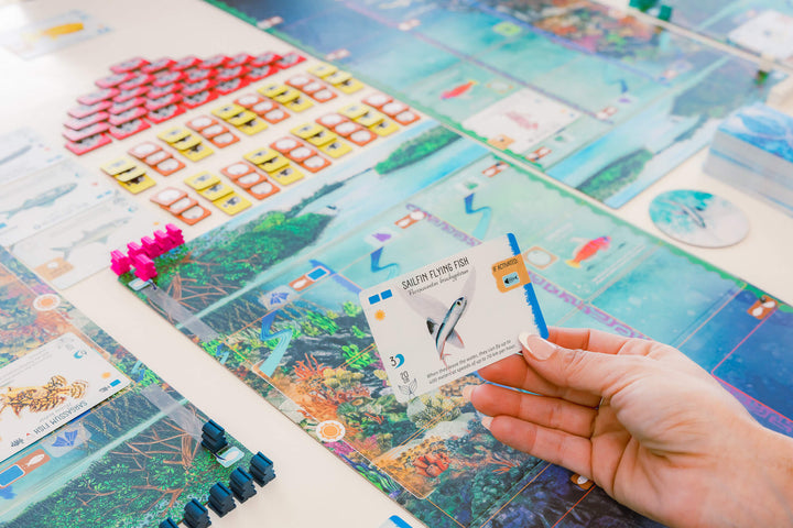 Finspan, jeu de société stratégie - Achat en ligne à L'As des jeux