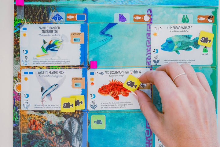 Finspan, jeu de société stratégie - Achat en ligne à L'As des jeux