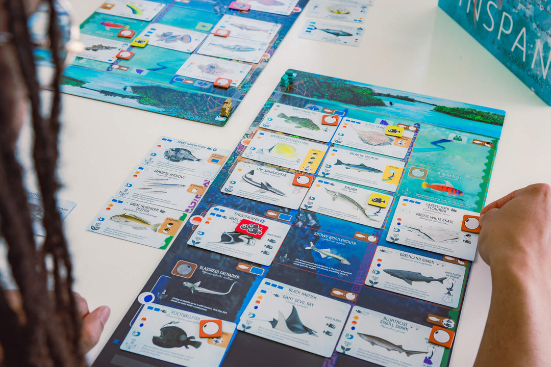 Finspan, jeu de société stratégie - Achat en ligne à L'As des jeux