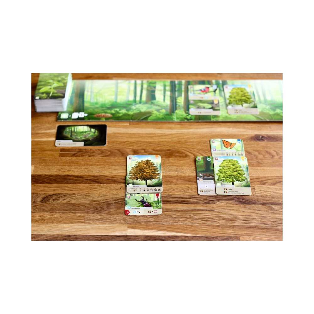 Forest Shuffle: jeu de société famille | Dès 10 ans