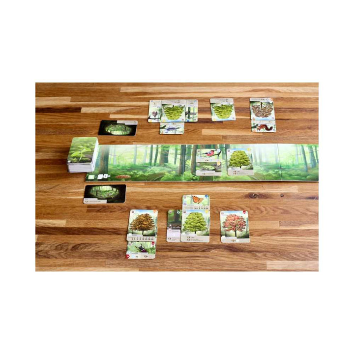 Forest Shuffle: jeu de société famille | Dès 10 ans