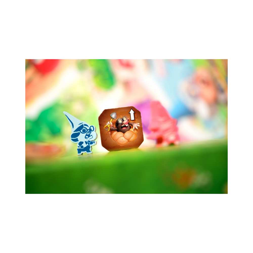Garden Rush: jeu de société 2 joueurs | Achat en ligne Canada