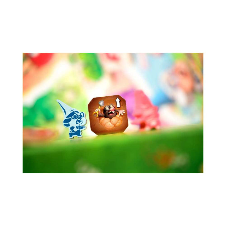 Garden Rush: jeu de société 2 joueurs | Achat en ligne Canada