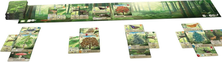 Forêt mixte jeu de cartes familial | Achat en ligne Canada