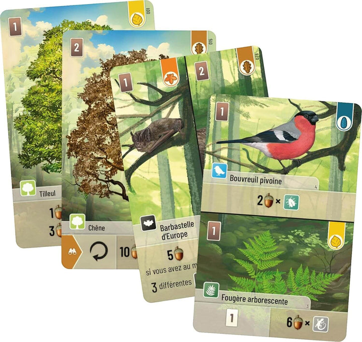 Forêt mixte jeu de cartes familial | Achat en ligne Canada
