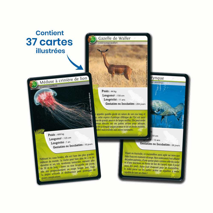Défis Nature / Animaux extraordinaires - L'As des jeux