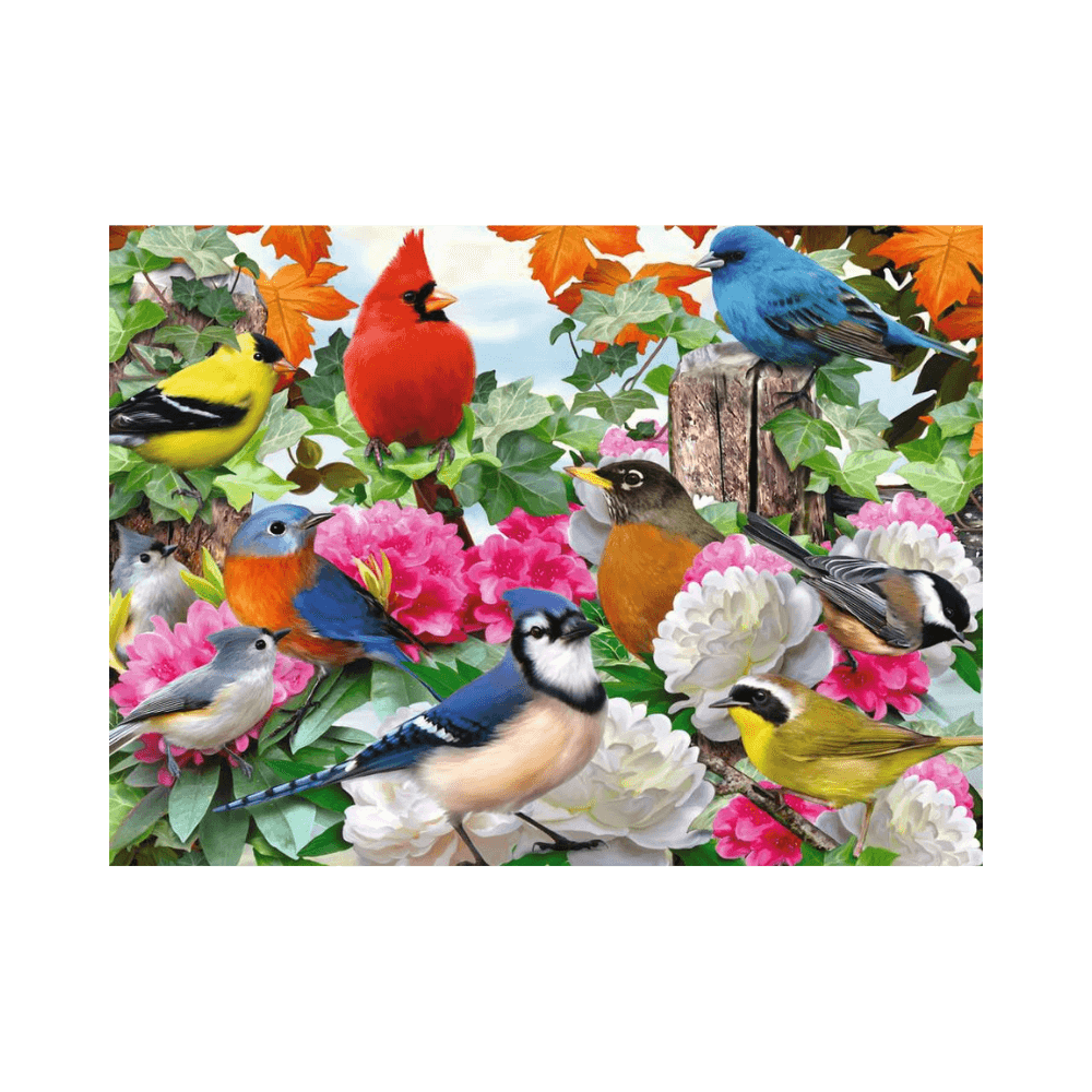 Garden Birds (500 pc)