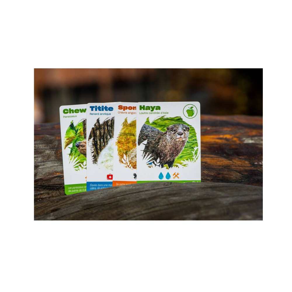 Miller Zoo: jeu de société coop | Achat en ligne Canada