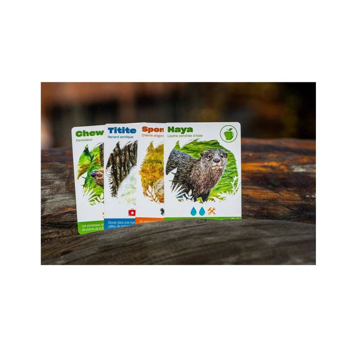Miller Zoo: jeu de société coop | Achat en ligne Canada