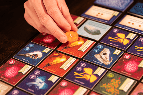 Nocturne, jeu de société familial - Achat en ligne à L'As des jeux