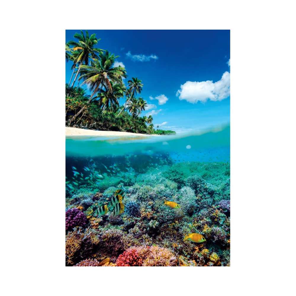 Puzzle Clementoni Paradis d'été (1000 pcs) | Achat en ligne Canada