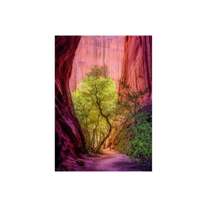 Puzzle Heye Power of Nature: Singing Canyon 1000 pcs - Achat en ligne Canada