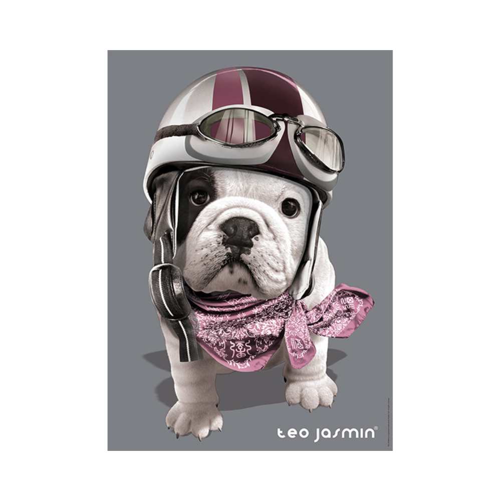 Puzzle Nathan Collection Photo d'art: Téo Racing Angéline Bailly 1000