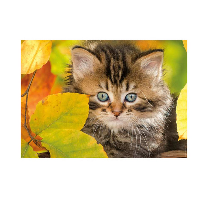 Puzzle Nathan Collection Tendresse: Chaton en automne 1500 pcs