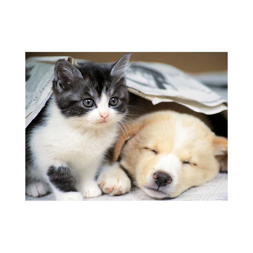 Puzzle Nathan Collection Tendresse: Réveille-toi 500 pcs