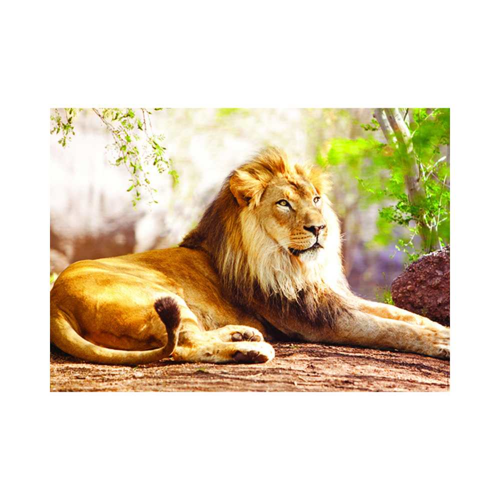 Puzzle Nathan Collection Vie sauvage: Le roi de la savane 1500 pcs