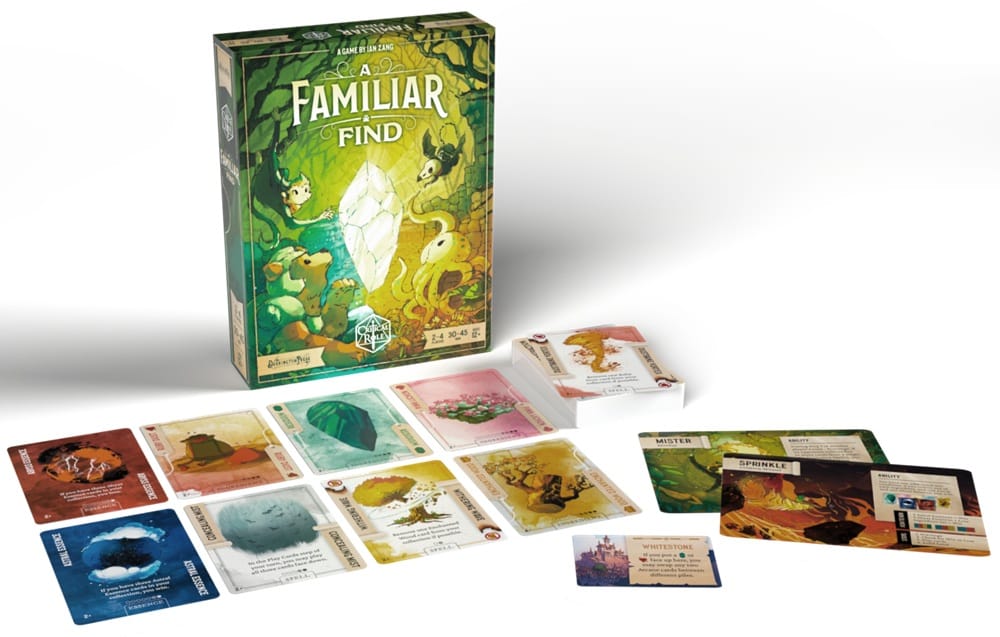 A Familiar Find (EN) JEUX - Famille