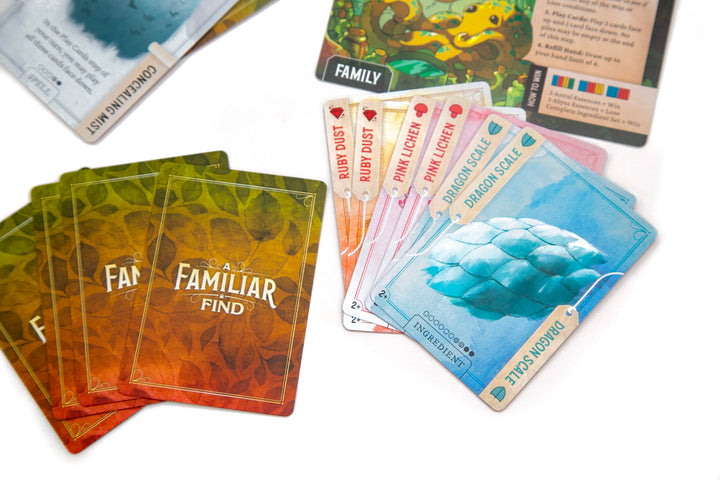 A Familiar Find (EN) JEUX - Famille