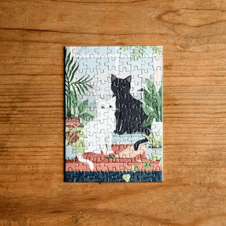 Albus and Noxy (99 pcs MINI) CASSE-TÊTE - 50 - 99 morceaux