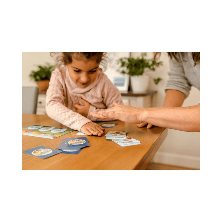 Attention aux loups - Nouvelle édition (FR) JEUX - Éducatif