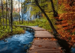 Autumnal Wooden Trail (1000pcs) CASSE-TÊTE - 1000 morceaux