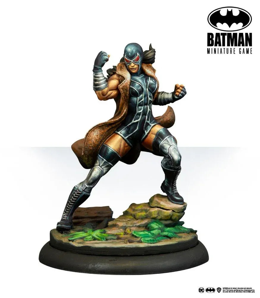 Batman Miniature Game: Vengeance (EN) Unclassified