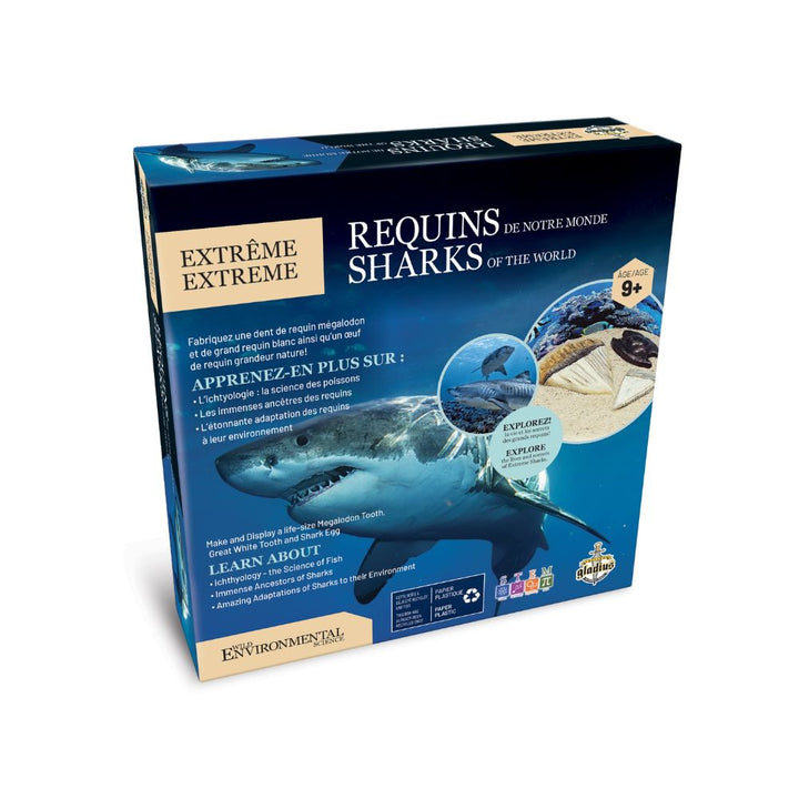 Ensemble de science : Requins extrêmes | Achat en ligne Canada