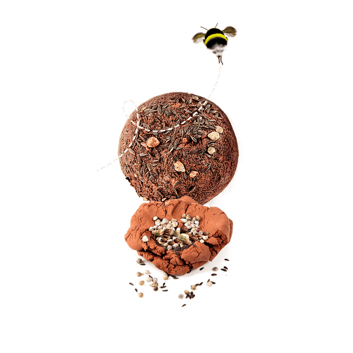 Bombes de Graines (FR) PASSE-TEMPS - Science