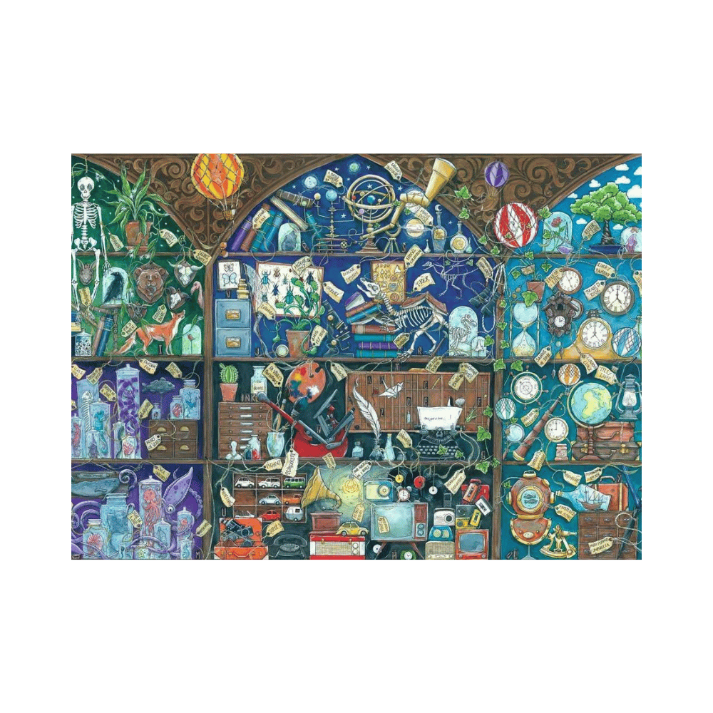 Cabinet of Curiosities (1000 pc) CASSE-TÊTE - 1000 morceaux