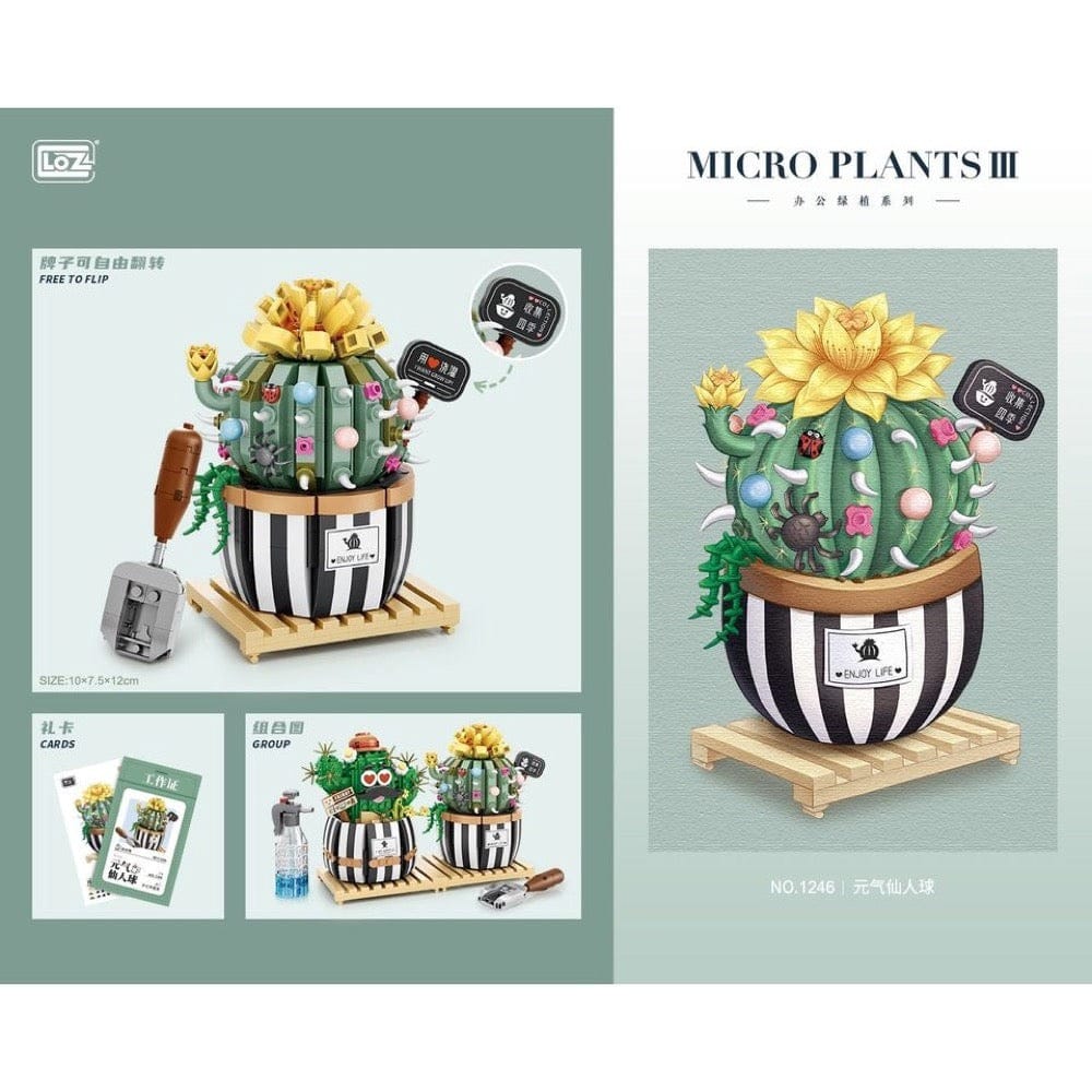 Cactus rond en pot (721pcs) PASSE-TEMPS - Jouets - Jouets Construction