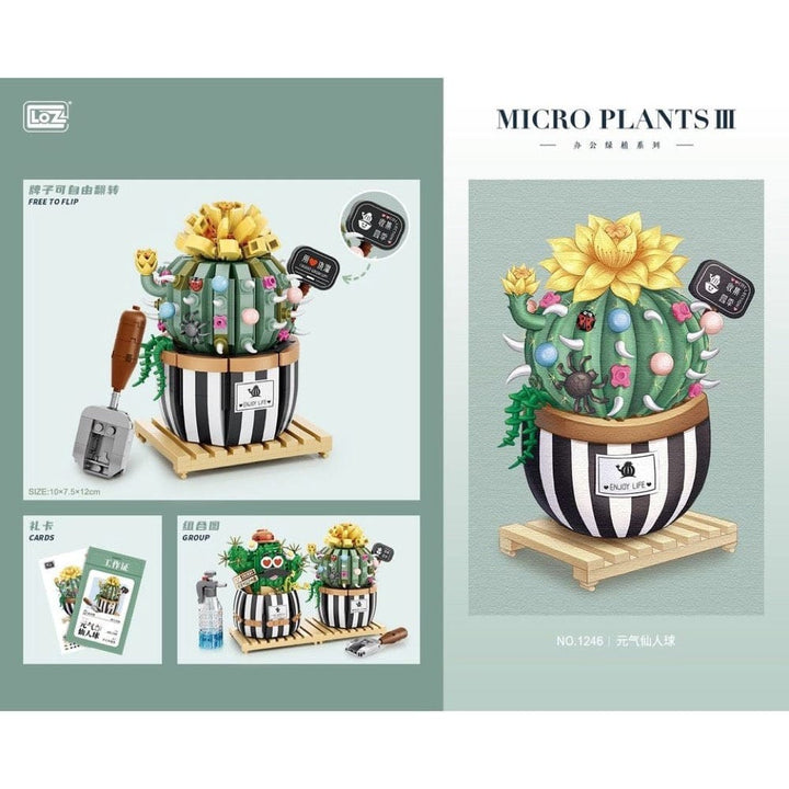 Cactus rond en pot (721pcs) PASSE-TEMPS - Jouets - Jouets Construction