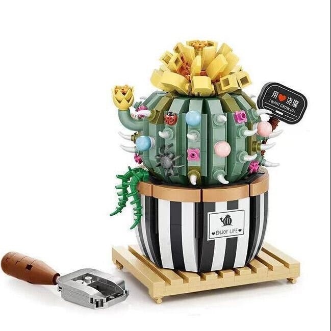 Cactus rond en pot (721pcs) PASSE-TEMPS - Jouets - Jouets Construction
